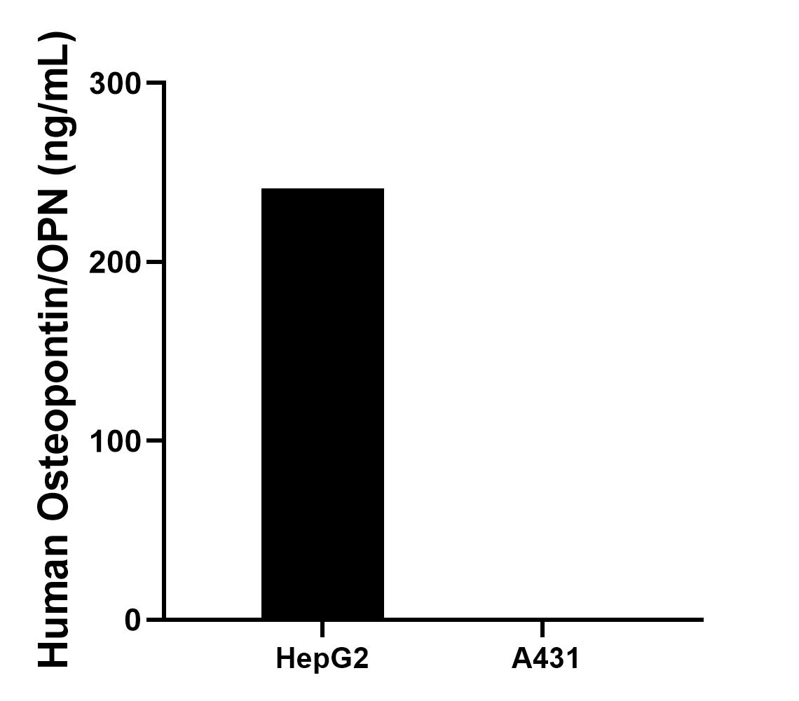 Sample test of MP00375-1